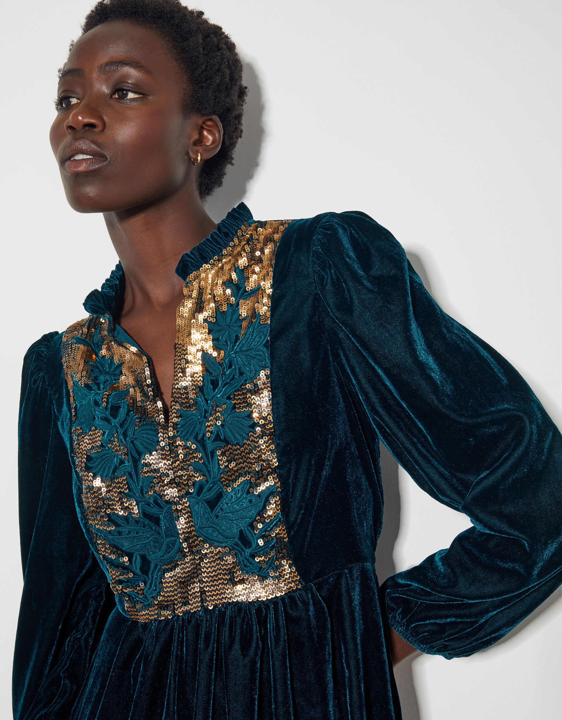 Lisa Embellished Velvet Dress