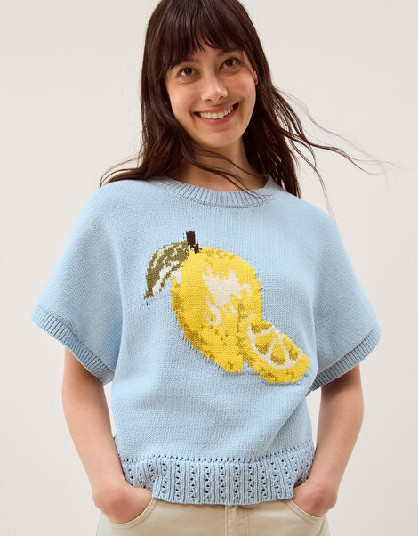 Lizzie Lemon Short Sleeve Jumper, Blue (BLUE), large