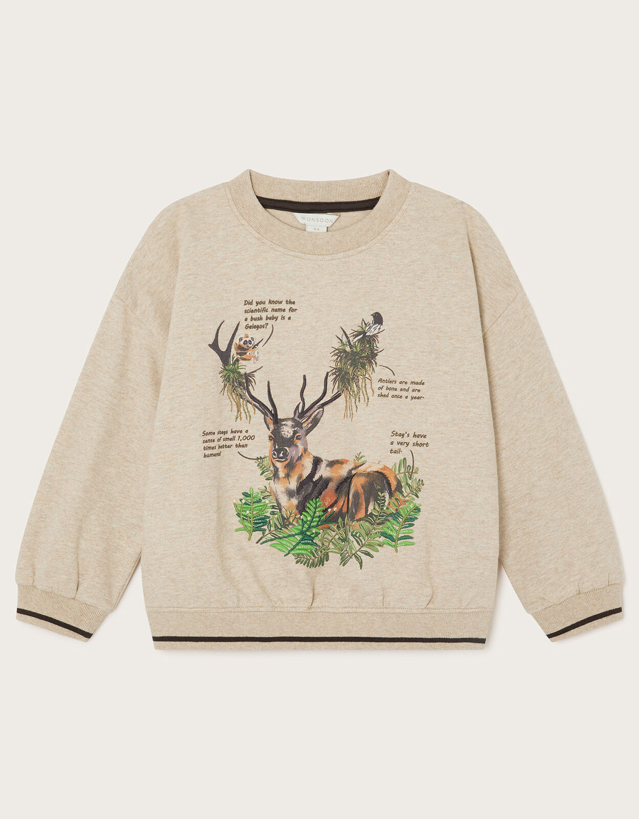 Boys store camel sweater