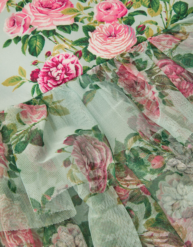 Flora Rose Print Tiered Tulle Dress, Green (GREEN), large