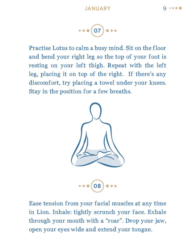 Bookspeed 365 Days of Yoga, , large
