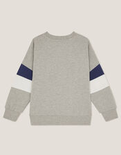 Tiger Varsity Sweatshirt, Grey (GREY), large