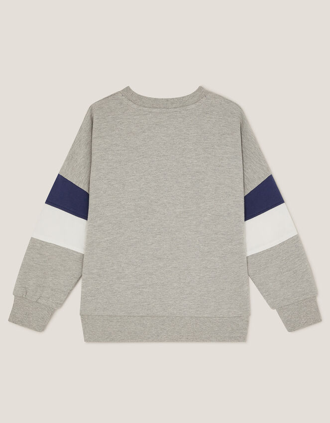 Tiger Varsity Sweatshirt, Grey (GREY), large