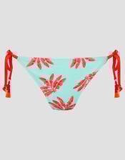 Pamela Palm Print Bikini Bottom, Green (MINT), large