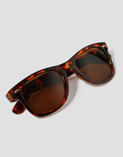 Flat Top Square Sunglasses, Brown (BROWN), large