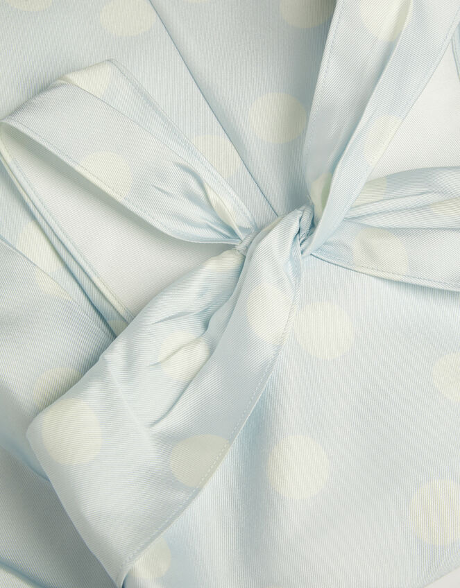 Marney Polka Dot Party Dress, Blue (PALE BLUE), large