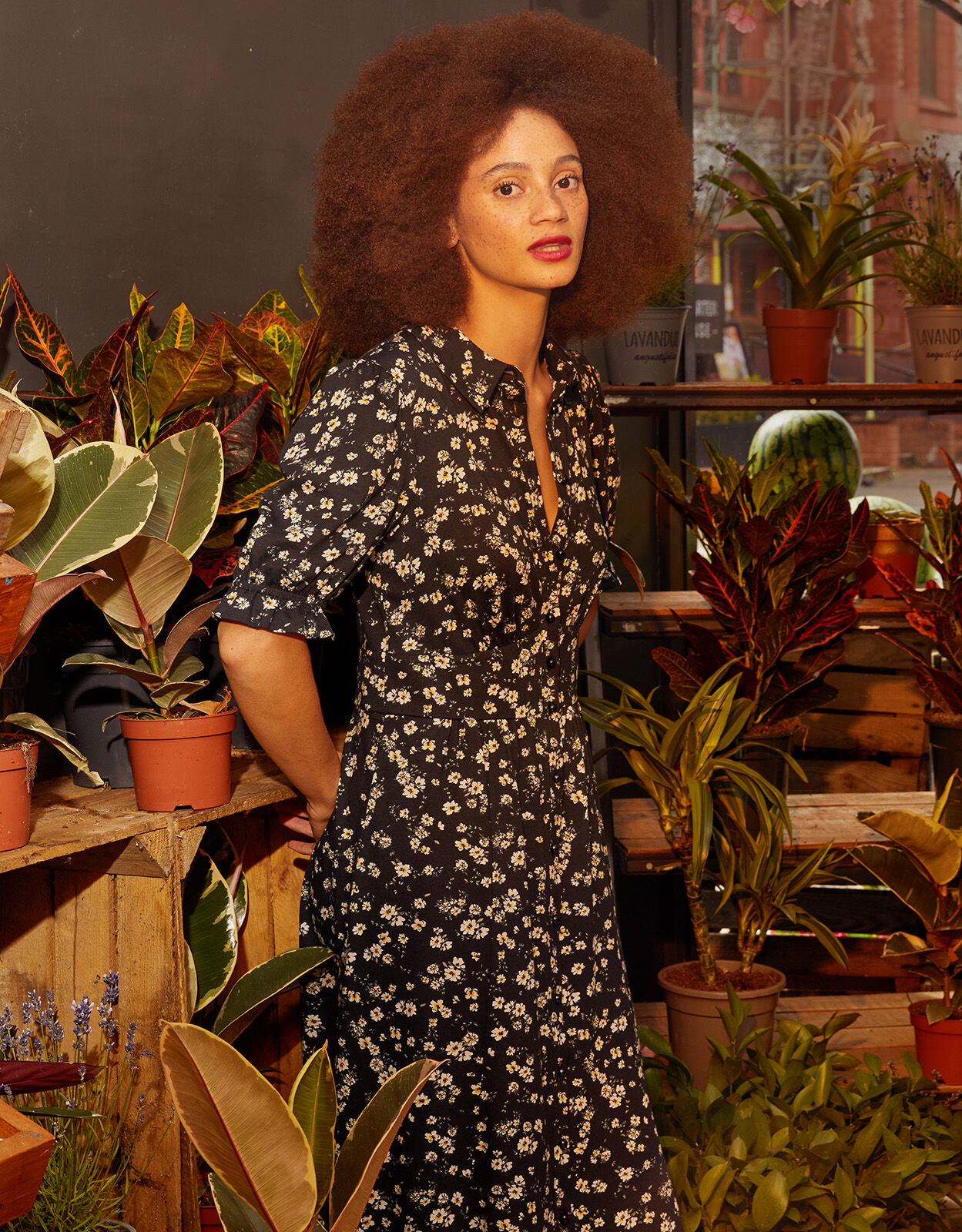 Monsoon summer dresses 2019 clearance