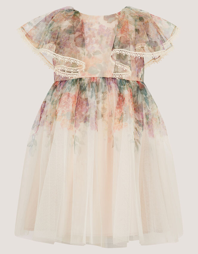 Baby Vintage Flower Tulle Party Dress, Multi (MULTI), large