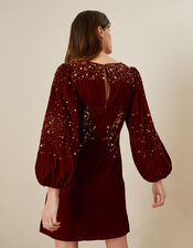 Alice Sequin Tunic Embellished Dress, Brown (CHOCOLATE), large