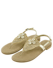 Sheila Shell Toe-Post Sandals, Gold (GOLD), large