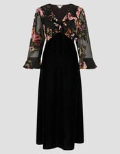 Ariella Floral Devore Velvet Midi Dress, Black (BLACK), large