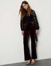 Bella Velvet Bootleg Trousers, Brown (CHOCOLATE), large