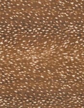 Bea Bambi Print Scarf, , large