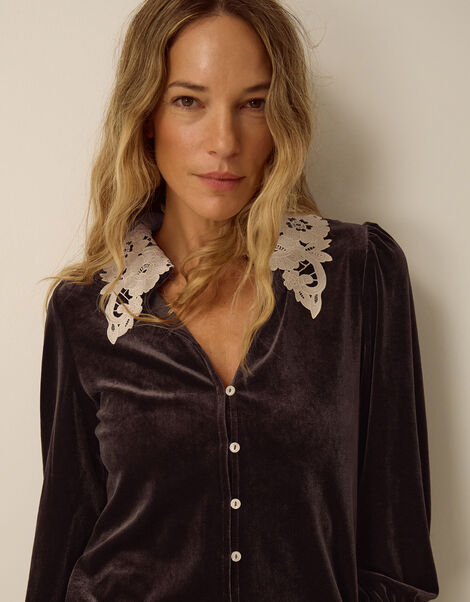 Leith Lace Collar Velvet Shirt, Brown (CHOCOLATE), large