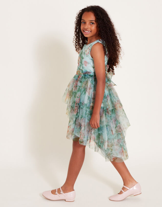 Sleeveless Rose Print Organza Dress, Green (GREEN), large