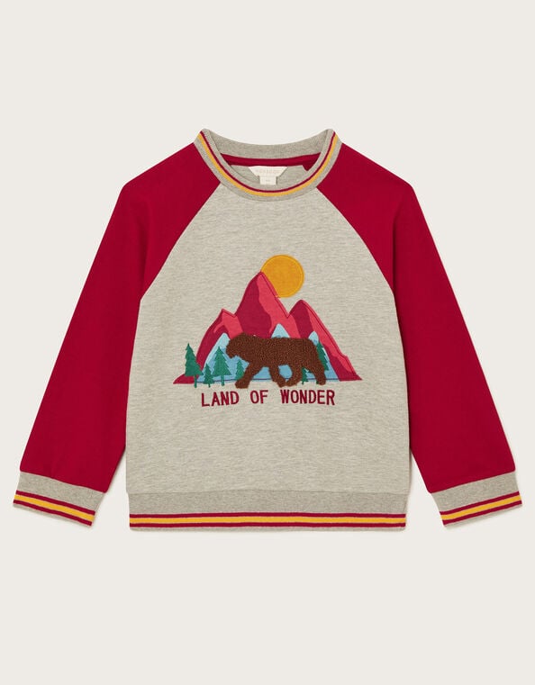 Land Of Wonder Raglan Sweatshirt, Gray (GREY), large