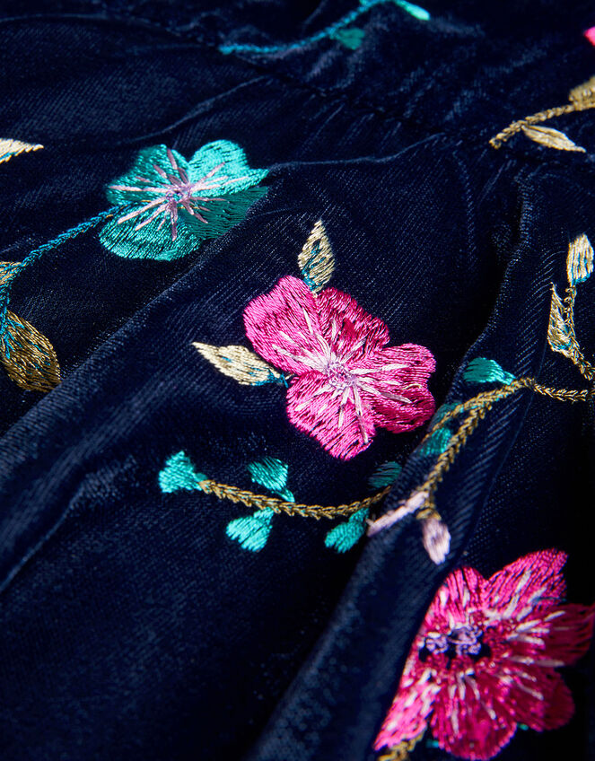 Vera Embroidered Velvet Dress Blue