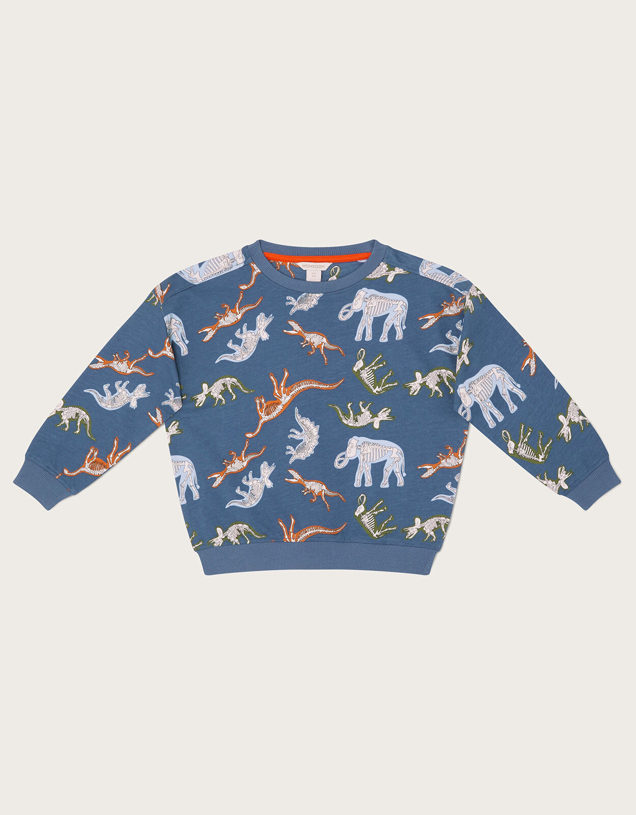 Dinosaur print deals sweatshirt