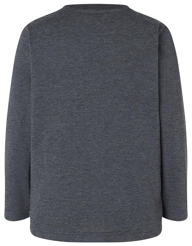 London Animal Long Sleeve T-Shirt, Grey (CHARCOAL), large