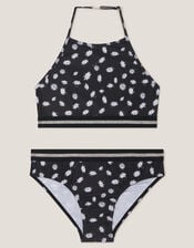 Daisy Print Halter Bikini Set, Black (BLACK), large