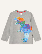 Dinosaur Long Sleeve T-Shirt, Grey (GREY), large