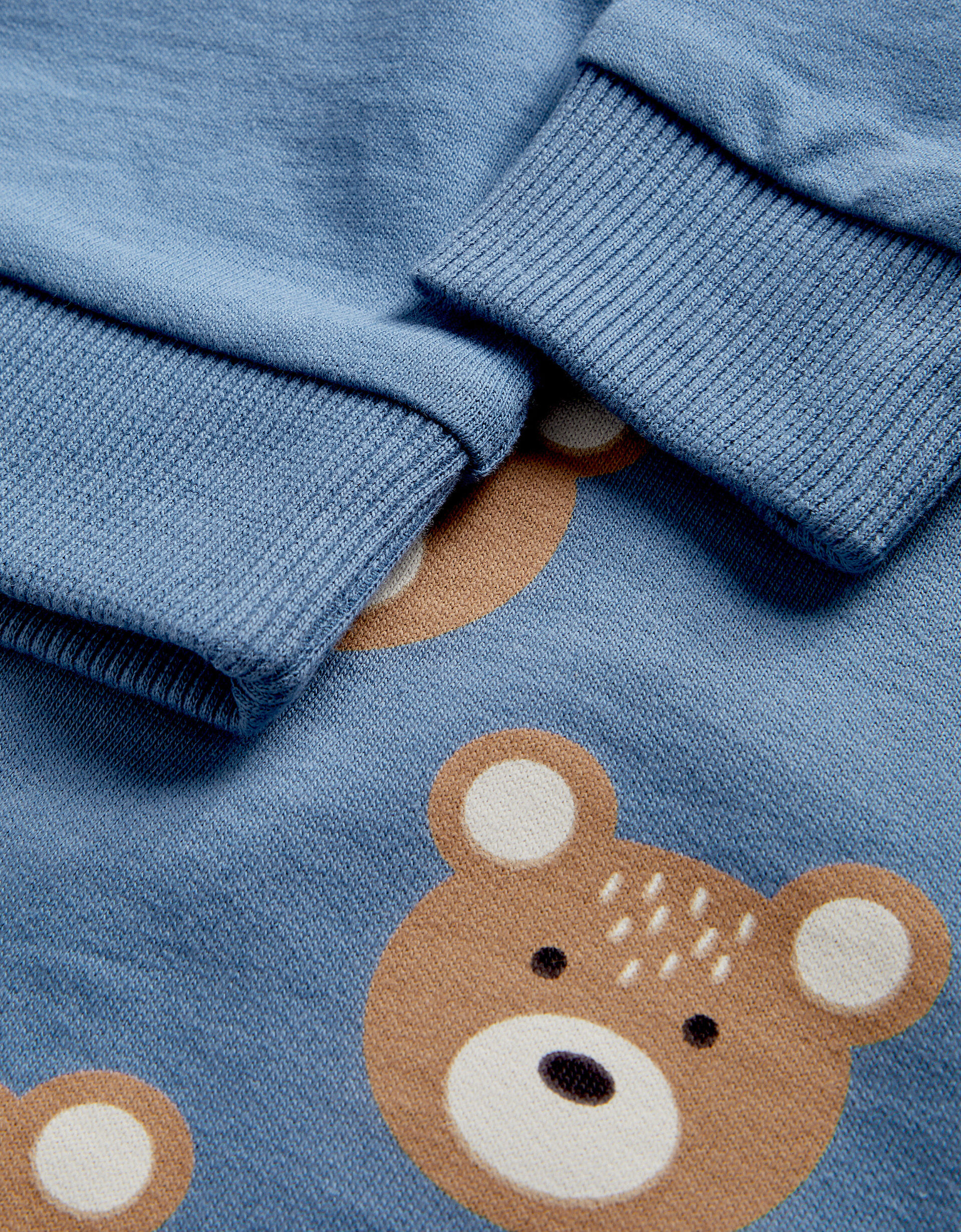 Newborn Bear Sweatshirt and Joggers Set Blue
