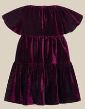 Baby Leila Corsage Velvet Party Dress, Purple (PURPLE), large