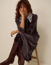 Leith Lace Collar Velvet Midi Dress, Brown (CHOCOLATE), large