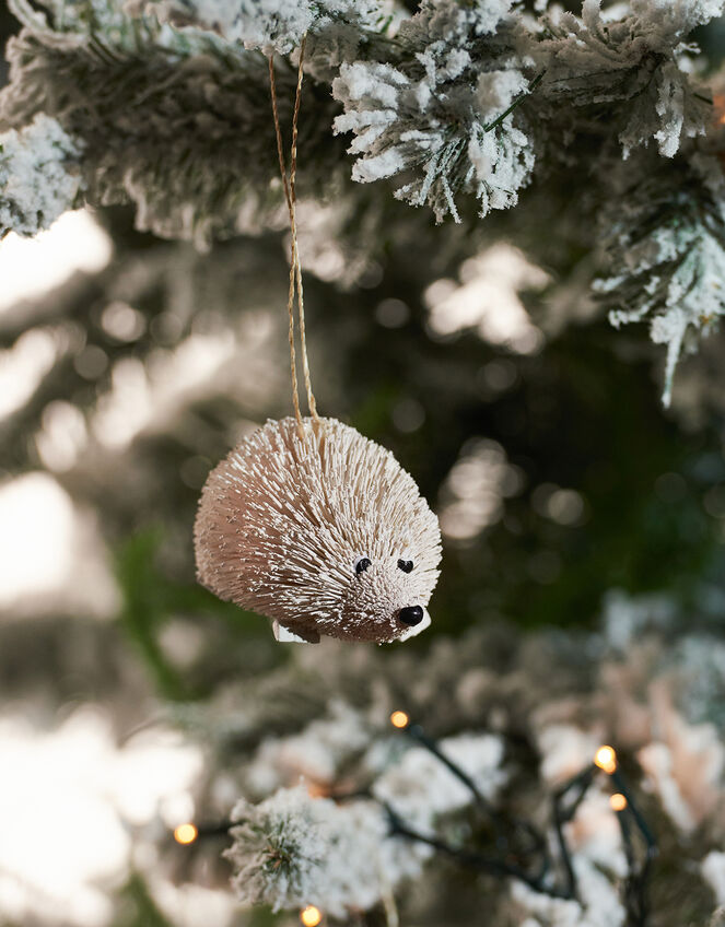 Bristle Hedgehog Decoration Set, , large