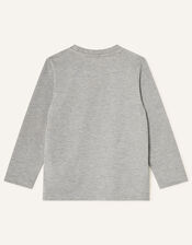 Dinosaur Long Sleeve T-Shirt, Grey (GREY), large