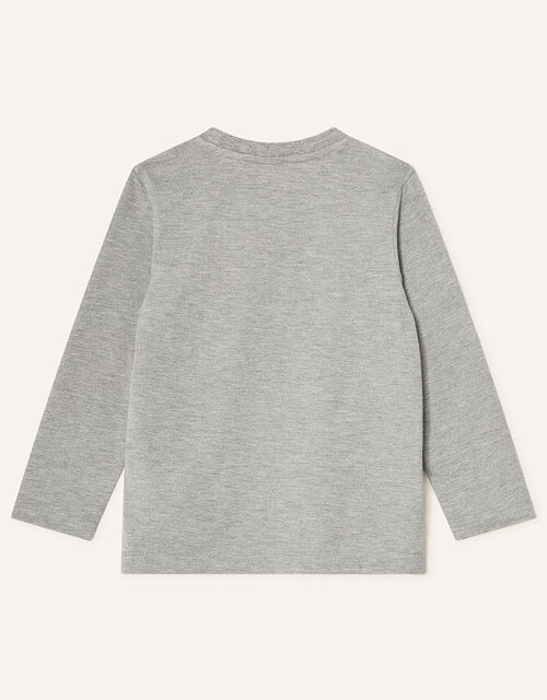 Dinosaur Long Sleeve T-Shirt, Grey (GREY), large