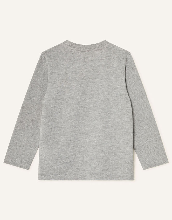Dinosaur Long Sleeve T-Shirt, Grey (GREY), large