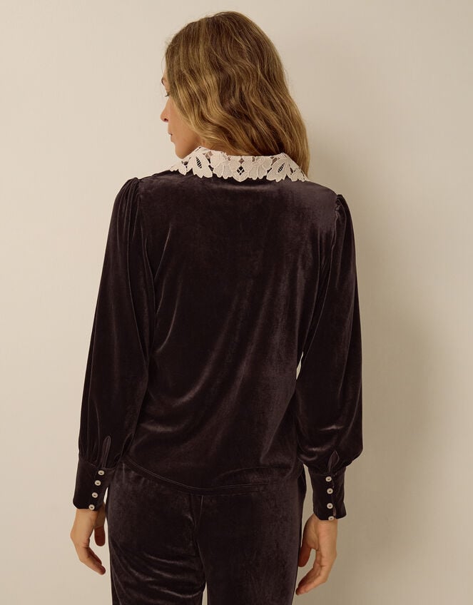 Leith Lace Collar Velvet Shirt, Brown (CHOCOLATE), large