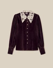 Leith Lace Collar Velvet Shirt, Brown (CHOCOLATE), large
