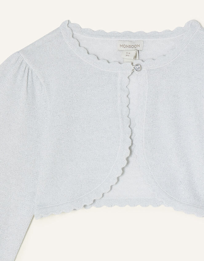 Statement Sleeve Cardigan, Silver (SILVER), large