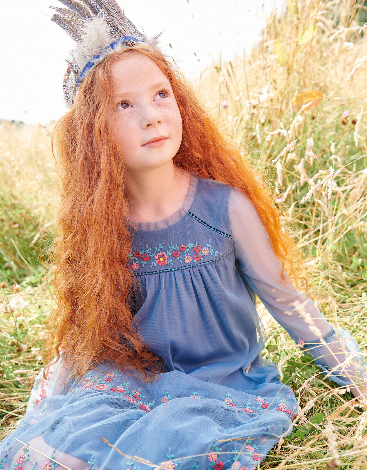 Embroidered Mesh Dress Blue