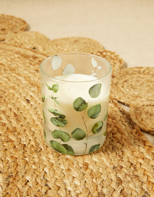 Eucalyptus Scented Candle Candles & Home Fragrance Monsoon Global.
