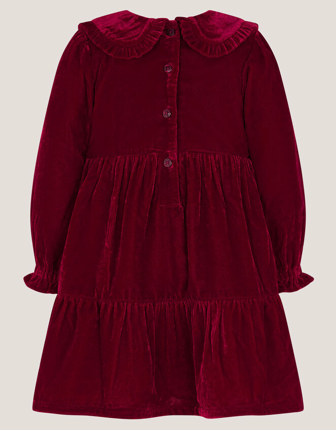 Baby Floral Embroidered Velvet Dress, Red (BURGUNDY), large