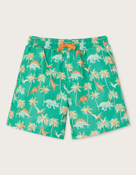 Dinosaur Palm Swim Shorts, Green (GREEN), large