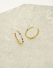 Gold-Plated Jewel Hoop Earrings , , large