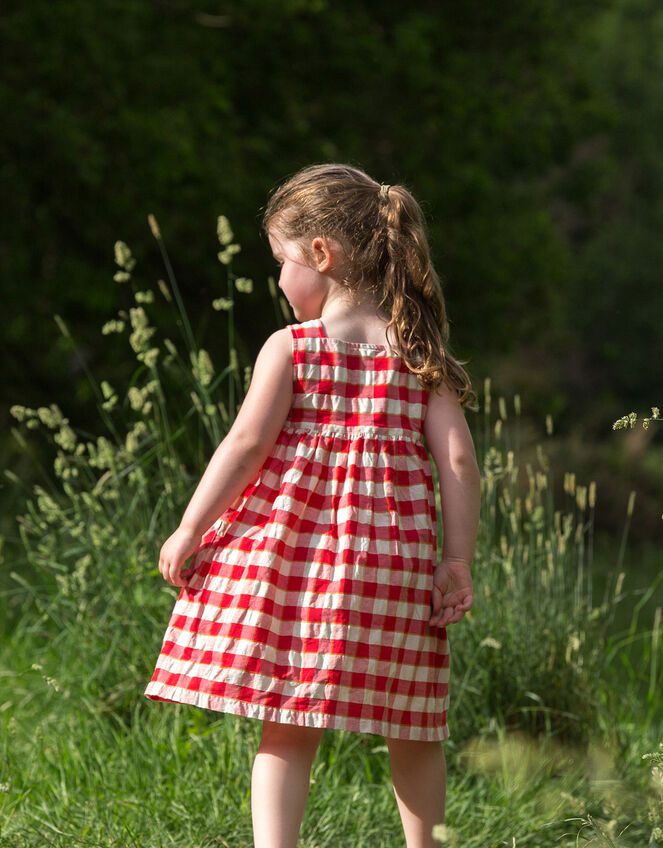 Little Green Radicals Check Pinny Dress, Red (RED), large
