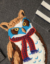 Textured Owl Applique Jumper, Gray (GREY), large