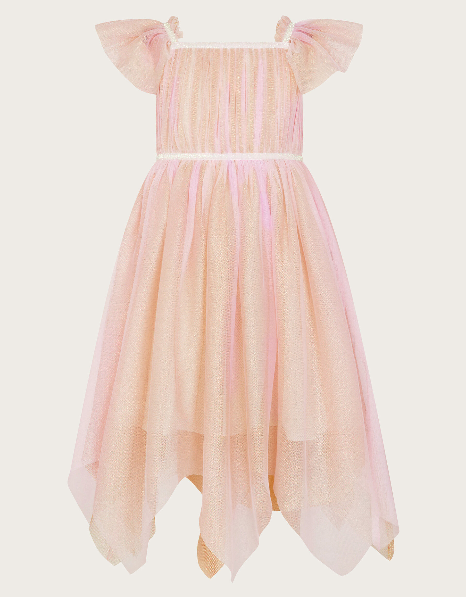 Monsoon sales fairy wings