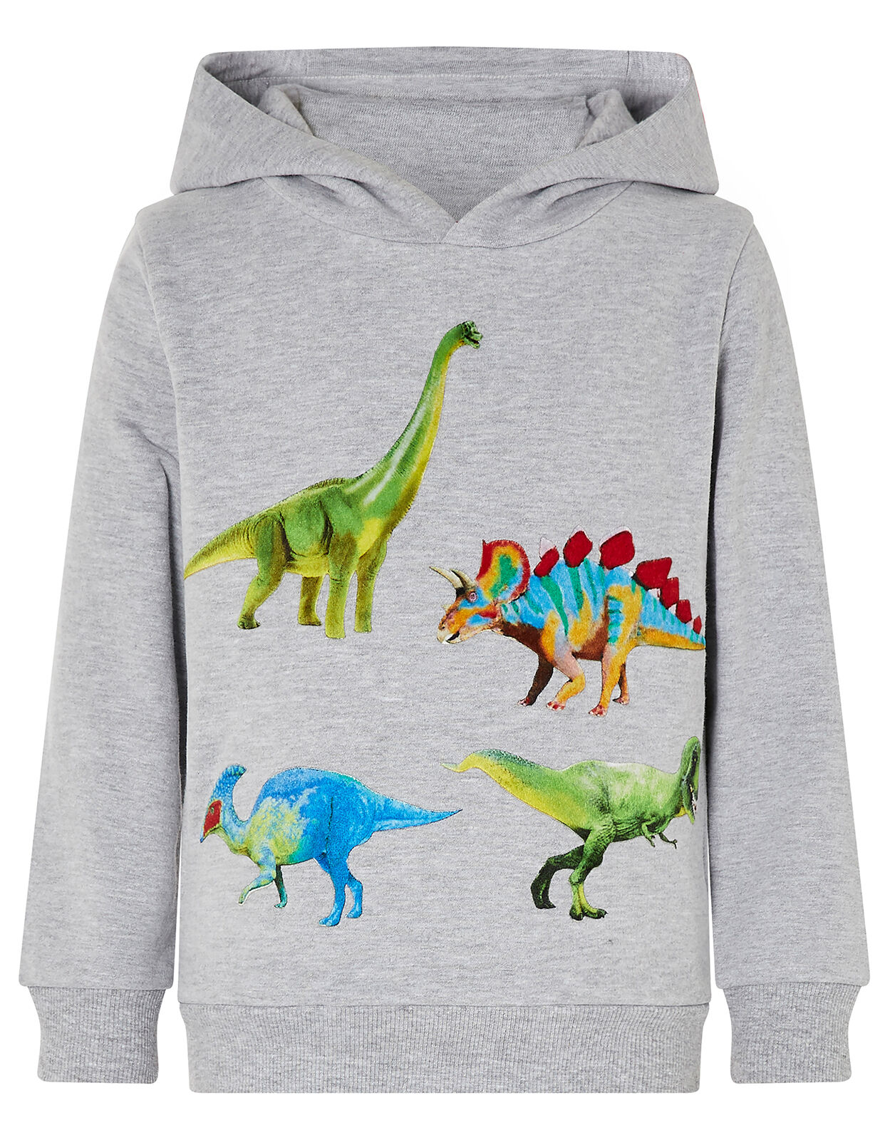 Dinosaur Print Hoody Grey Boys Hoodies & Sweatshirts Monsoon Global. Dinosaur Print Hoody Grey Boys Hoodies & Sweatshirts Monsoon Global.