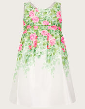 Baby Botanical Print Rose Duchess Dress, Ivory (IVORY), large