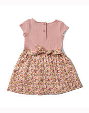 Little Green Radicals Ladybird Pointelle Twirler Dress, Pink (PINK), large