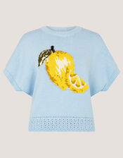Lizzie Lemon Short Sleeve Jumper, Blue (BLUE), large