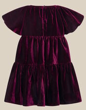 Baby Leila Corsage Velvet Party Dress, Purple (PURPLE), large