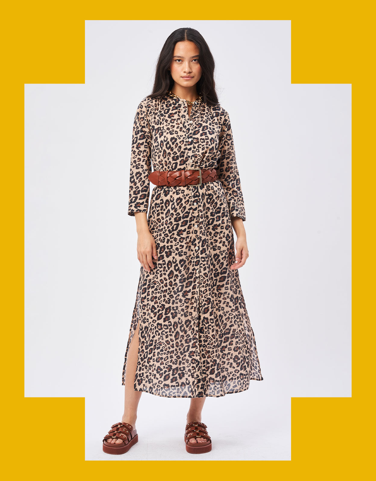Petite animal print dress hot sale