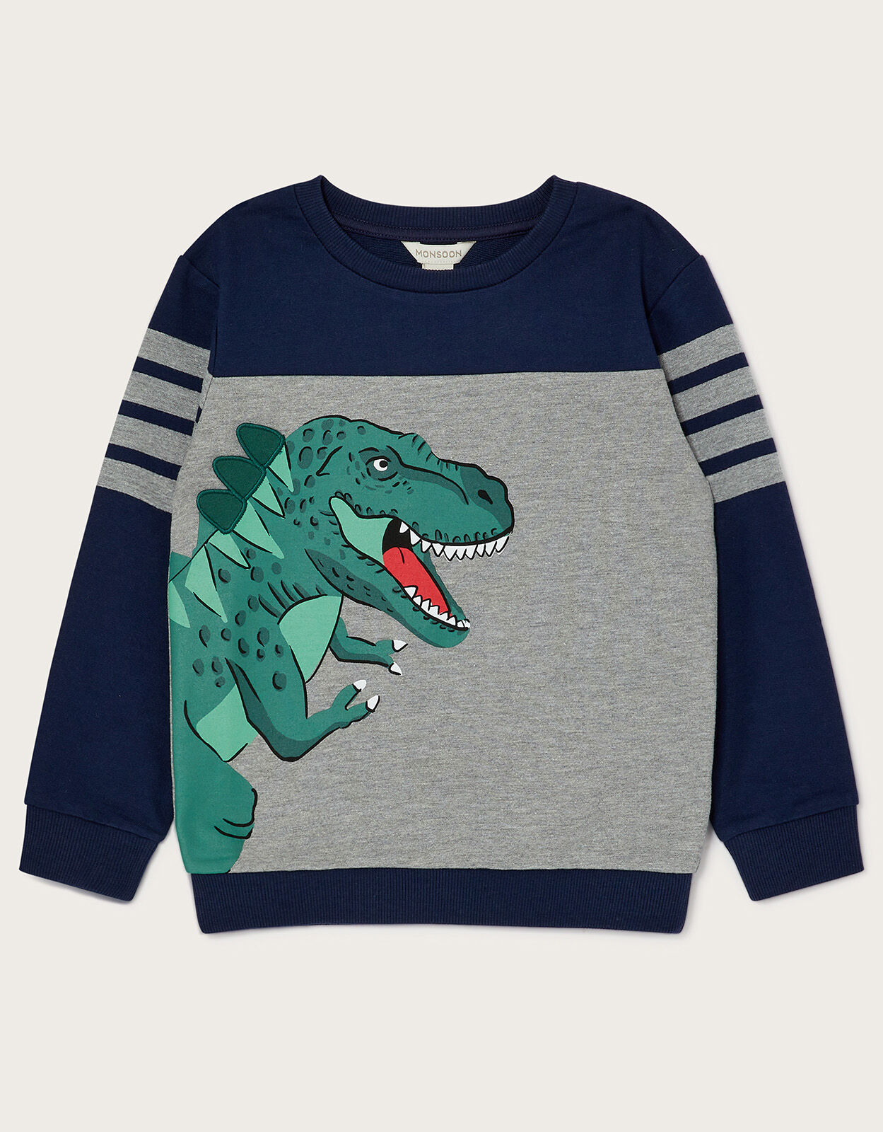 Childrens dinosaur sweatshirt store